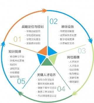 关于球队内训培训计划启动，提高整体战力的信息